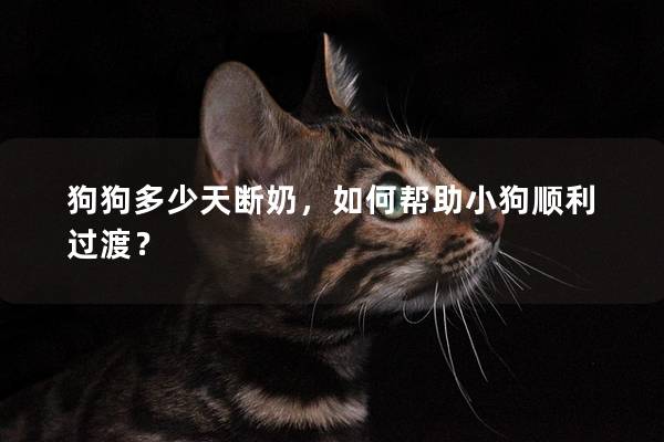 狗狗多少天断奶，如何帮助小狗顺利过渡？