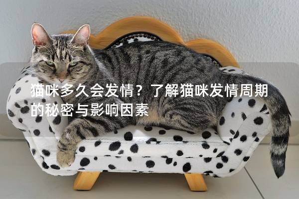 猫咪多久会发情？了解猫咪发情周期的秘密与影响因素