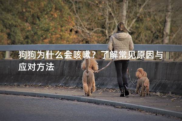 狗狗为什么会咳嗽？了解常见原因与应对方法