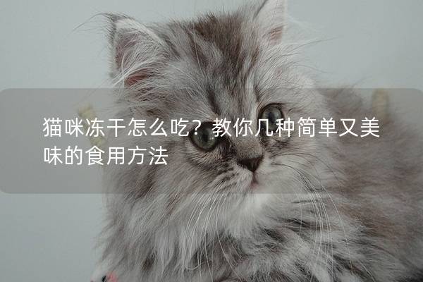 猫咪冻干怎么吃？教你几种简单又美味的食用方法