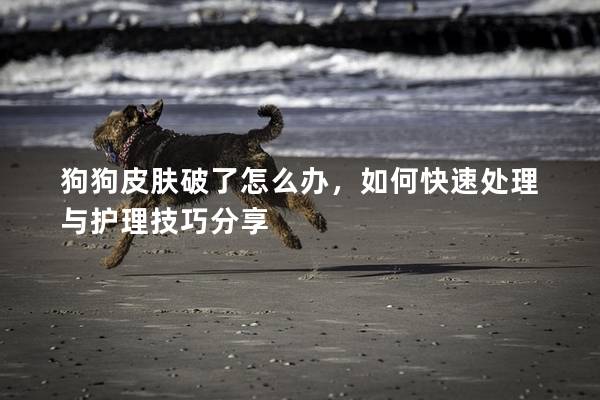 狗狗皮肤破了怎么办，如何快速处理与护理技巧分享