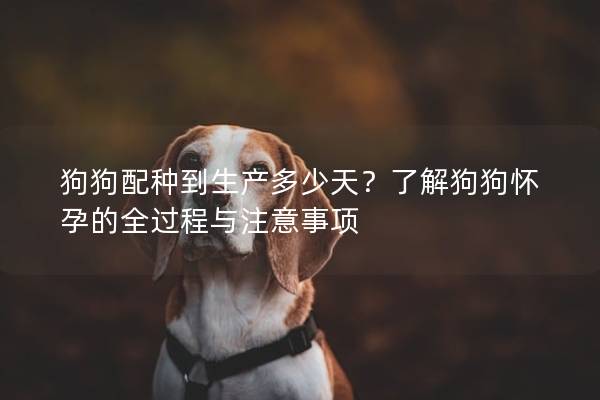 狗狗配种到生产多少天？了解狗狗怀孕的全过程与注意事项