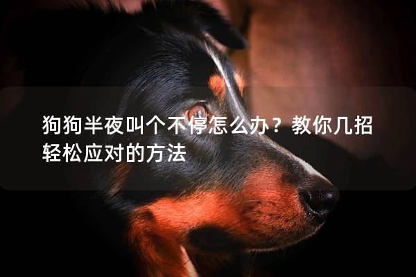 狗狗半夜叫个不停怎么办？教你几招轻松应对的方法