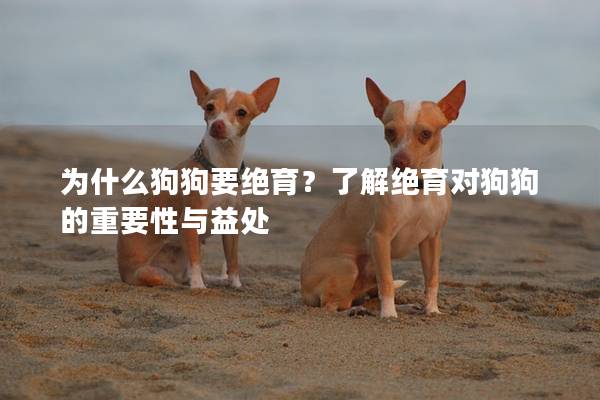 为什么狗狗要绝育？了解绝育对狗狗的重要性与益处