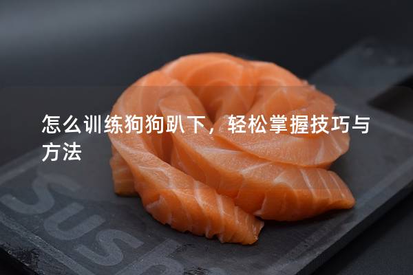 怎么训练狗狗趴下，轻松掌握技巧与方法