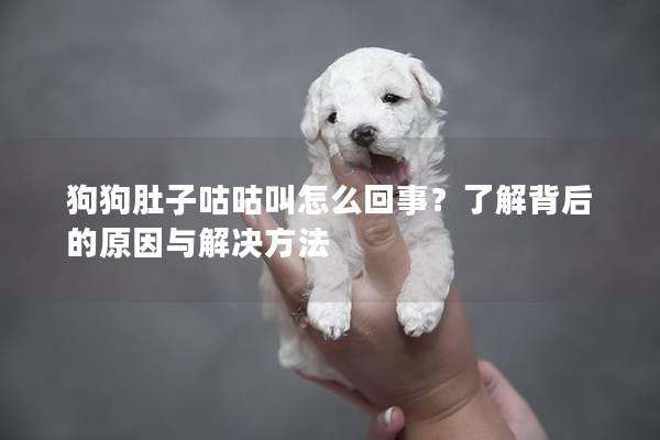 狗狗肚子咕咕叫怎么回事？了解背后的原因与解决方法