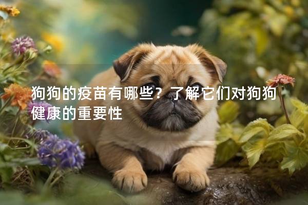 狗狗的疫苗有哪些？了解它们对狗狗健康的重要性