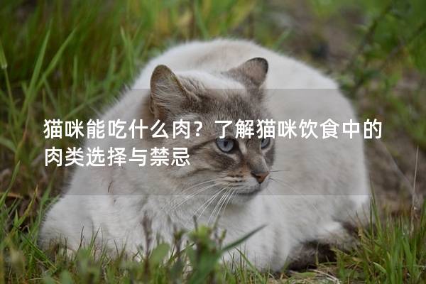 猫咪能吃什么肉？了解猫咪饮食中的肉类选择与禁忌