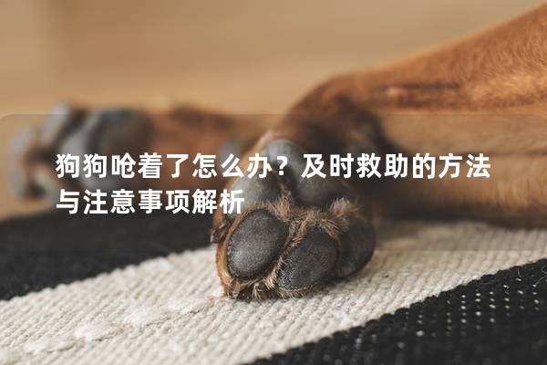 狗狗呛着了怎么办？及时救助的方法与注意事项解析