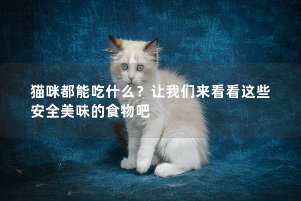 猫咪都能吃什么？让我们来看看这些安全美味的食物吧