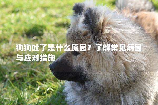 狗狗吐了是什么原因？了解常见病因与应对措施
