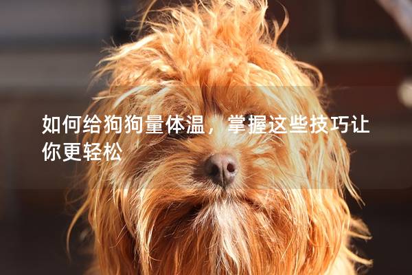 如何给狗狗量体温，掌握这些技巧让你更轻松