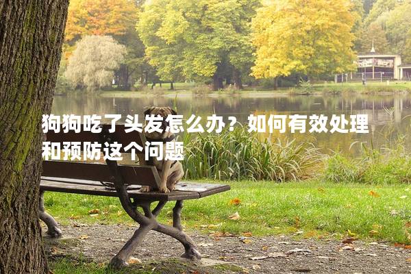 狗狗吃了头发怎么办？如何有效处理和预防这个问题