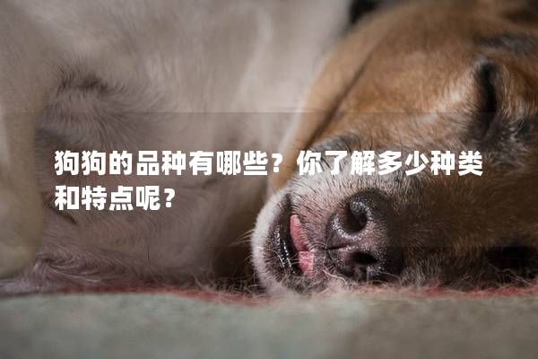狗狗的品种有哪些？你了解多少种类和特点呢？