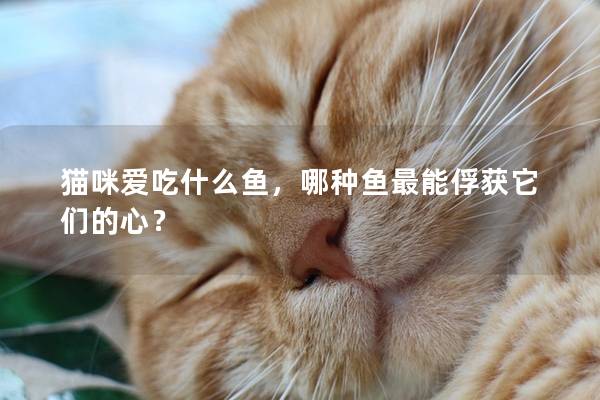 猫咪爱吃什么鱼，哪种鱼最能俘获它们的心？