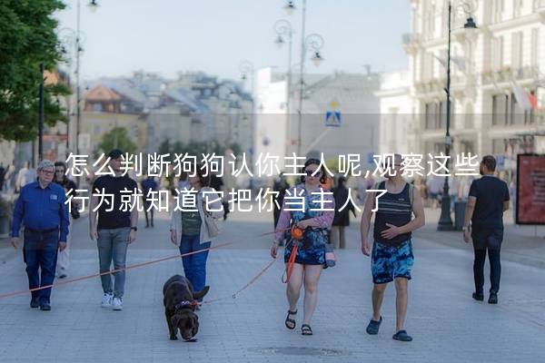 怎么判断狗狗认你主人呢,观察这些行为就知道它把你当主人了