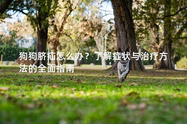 狗狗脐疝怎么办？了解症状与治疗方法的全面指南