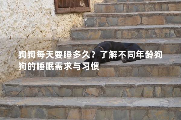 狗狗每天要睡多久？了解不同年龄狗狗的睡眠需求与习惯
