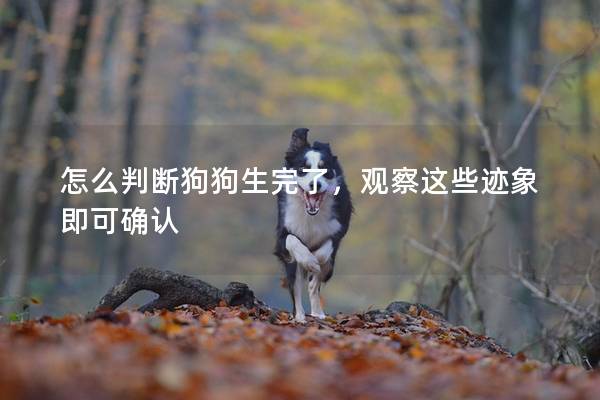 怎么判断狗狗生完了,观察这些迹象即可确认 怎么判断狗狗生完了,观察这些迹象即可确认