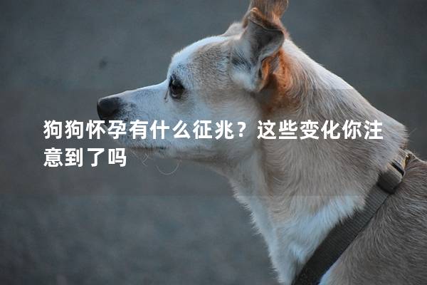 狗狗怀孕有什么征兆？这些变化你注意到了吗