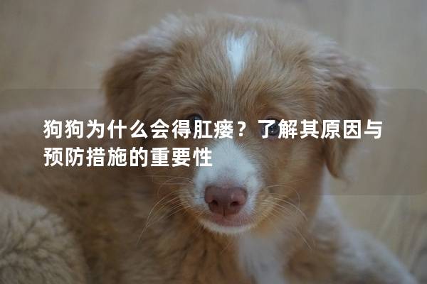 狗狗为什么会得肛瘘？了解其原因与预防措施的重要性