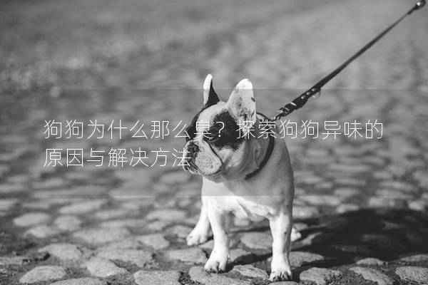 狗狗为什么那么臭？探索狗狗异味的原因与解决方法