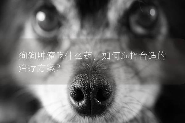 狗狗肿瘤吃什么药，如何选择合适的治疗方案？