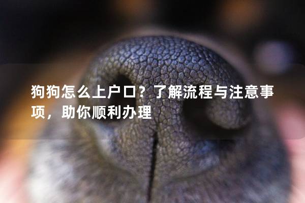 狗狗怎么上户口？了解流程与注意事项，助你顺利办理