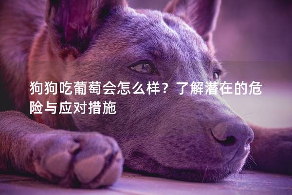狗狗吃葡萄会怎么样？了解潜在的危险与应对措施