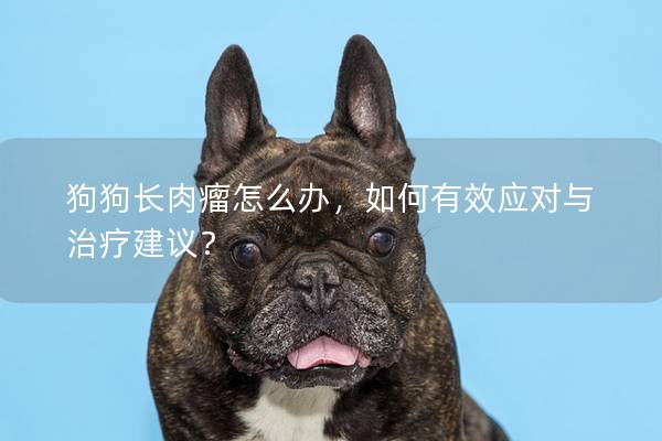 狗狗长肉瘤怎么办，如何有效应对与治疗建议？