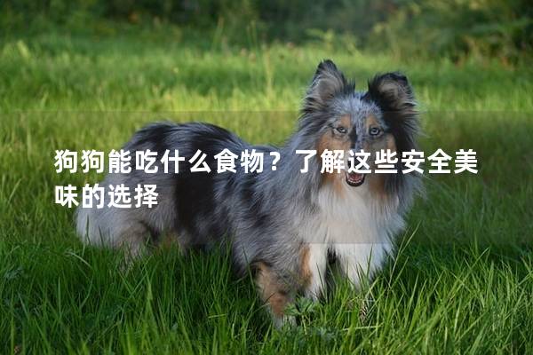 狗狗能吃什么食物？了解这些安全美味的选择