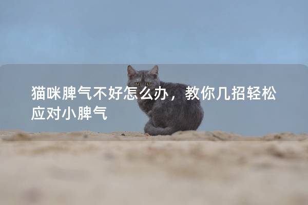 猫咪脾气不好怎么办，教你几招轻松应对小脾气