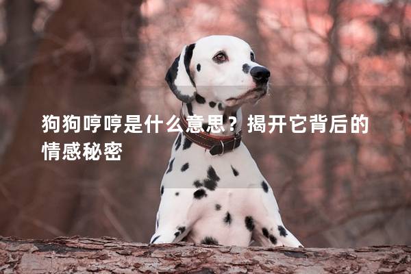 狗狗哼哼是什么意思?揭开它背后的情感秘密 狗狗哼哼是什么意思?揭开它背后的情感秘密