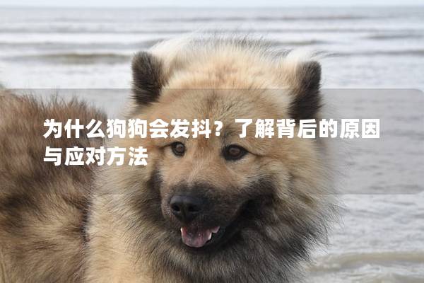 为什么狗狗会发抖？了解背后的原因与应对方法