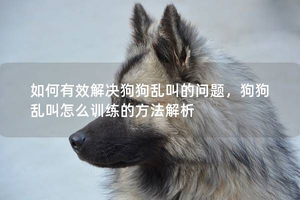 如何有效解决狗狗乱叫的问题，狗狗乱叫怎么训练的方法解析