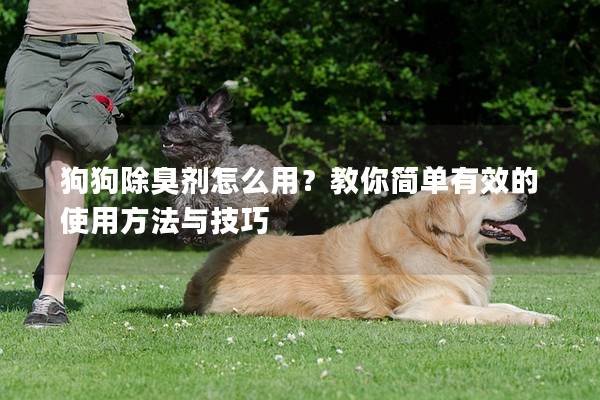 狗狗除臭剂怎么用？教你简单有效的使用方法与技巧