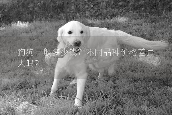 狗狗一般多少钱？不同品种价格差异大吗？