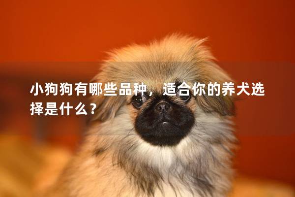 小狗狗有哪些品种，适合你的养犬选择是什么？