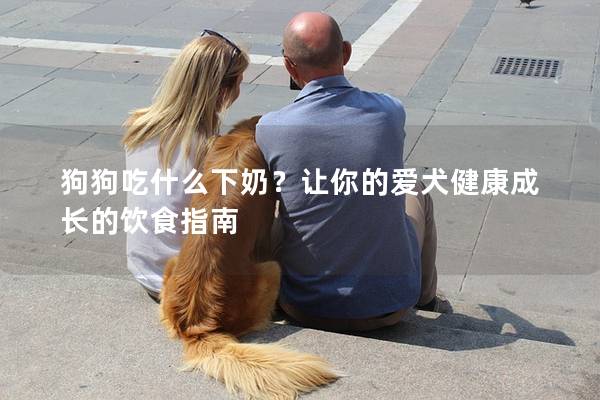 狗狗吃什么下奶？让你的爱犬健康成长的饮食指南