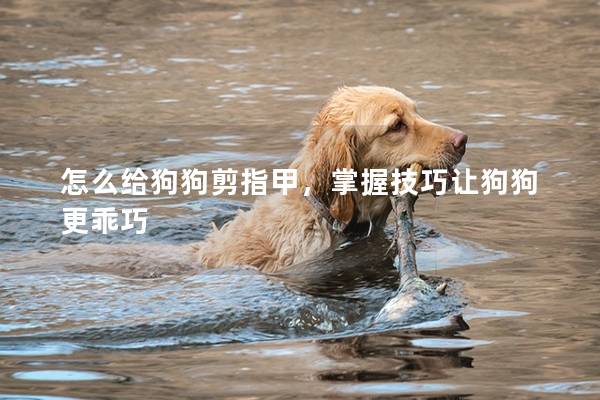 怎么给狗狗剪指甲，掌握技巧让狗狗更乖巧