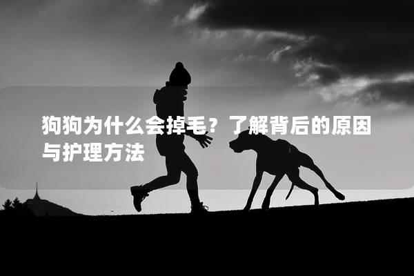 狗狗为什么会掉毛？了解背后的原因与护理方法