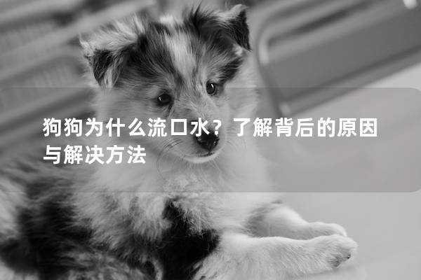 狗狗为什么流口水？了解背后的原因与解决方法