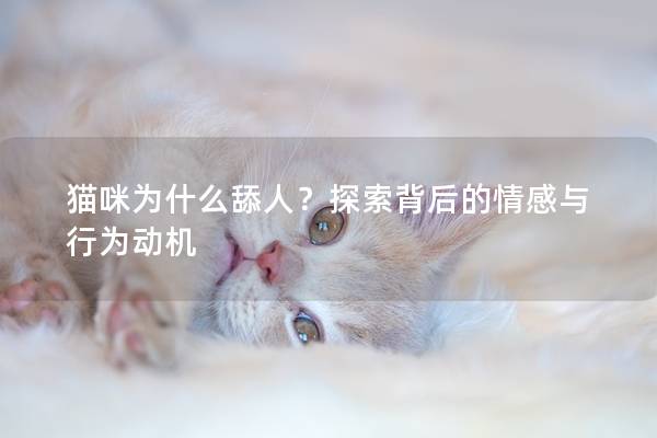 猫咪为什么舔人？探索背后的情感与行为动机