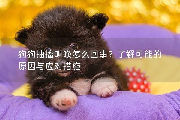 狗狗抽搐叫唤怎么回事？了解可能的原因与应对措施
