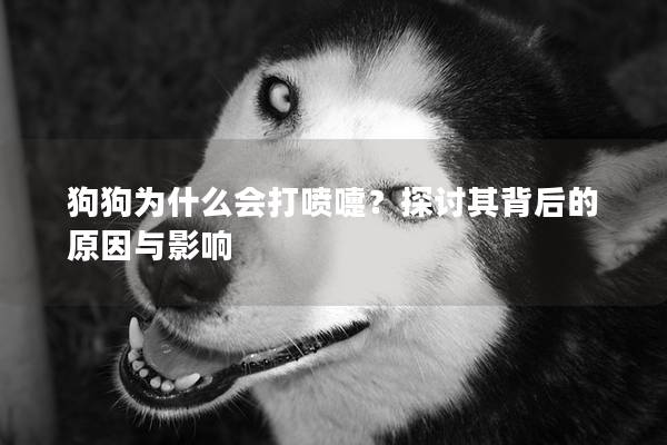 狗狗为什么会打喷嚏？探讨其背后的原因与影响