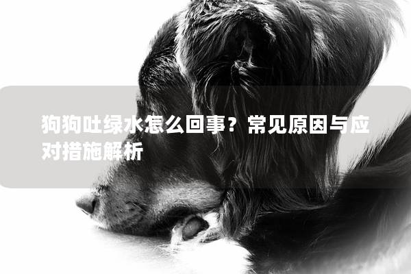 狗狗吐绿水怎么回事?常见原因与应对措施解析 狗狗吐绿水怎么回事?常见原因与应对措施解析
