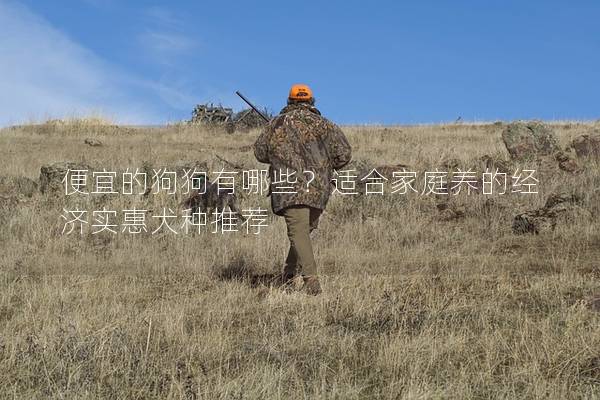 便宜的狗狗有哪些？适合家庭养的经济实惠犬种推荐