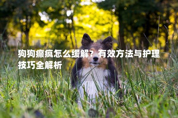 狗狗癫疯怎么缓解？有效方法与护理技巧全解析