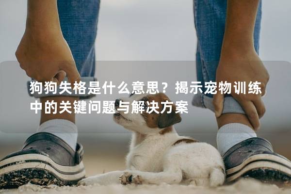 狗狗失格是什么意思？揭示宠物训练中的关键问题与解决方案