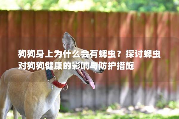 狗狗身上为什么会有蜱虫？探讨蜱虫对狗狗健康的影响与防护措施